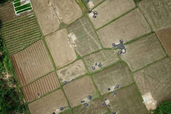 pexels-tomfisk-1081873